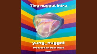 Ting nugget intro [upl. by Leunam]