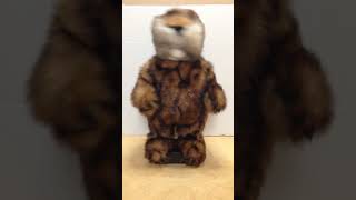 Vintage Caddyshack gopher dancing with the song [upl. by Ataner370]