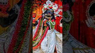 Shyama Aan Baso Vrindavan Mein radhakrishna status bhajan song shorts trending short radha [upl. by Sundberg]