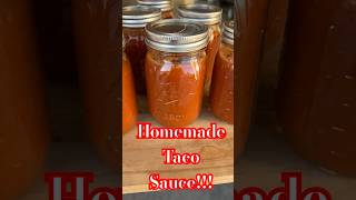 Homemade Taco Sauce garden growfoodathome growyourownfood canning [upl. by Ramoh]