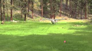 Cessna 185 taking off and landing at Allison Ranch [upl. by Priestley]