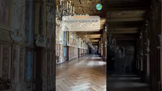 Palace of Fontainebleau shorts palaceoffontainebleau historicallandmarks [upl. by Bum]