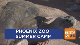 Phoenix Zoo kickstarts summer camp classes for 2023 [upl. by Warring]