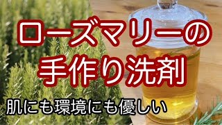 【ローズマリーの手作り洗剤】作り方と効果 環境や肌に優しい SDGs プリン洗剤 無添加洗剤 rosemary homemade detergent [upl. by Halilak]