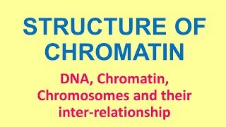 DNA Chromatin and Chromosomes  Basic concepts by P K Agrawal [upl. by Kaine]