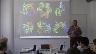 Protein Prediction 1 for Bioinformaticians  Lecture 11 Intrinsically Disordered Proteins [upl. by Deuno]