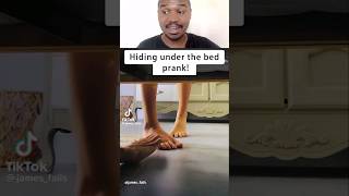 Hiding under bed prank 😅 shorts [upl. by Delisle340]