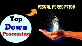 Top Down Processing  Visual Perception  spot psychology [upl. by Donaugh60]