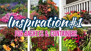 Hanging Basket and Container Plant Inspiration [upl. by Airetal]