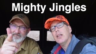 TankFest 2017 Wallerdog and The Mighty Jingles [upl. by Liahcim]