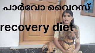 പാർവോ വന്നപ്പോൾ PARVO VIRUS RECOVERY DIET PLAN FOR DOGS RECOVERY OF SHADOW [upl. by Molohs194]