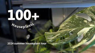 My houseplant collection of 100 plants  2024 summer houseplant tour [upl. by Ailemor656]