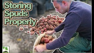 Storing Potatoes Long Term  Save Your Potato Harvest [upl. by Ramunni]