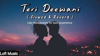 Teri Deewani  Slowed  Reverb  Kailash Kher  Lofi Music  lofimusic [upl. by Gow145]