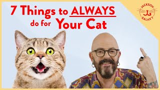 Instantly Improve Your Cats Life with these 7 Things [upl. by Aisayn]