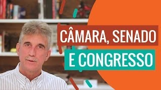 Qual a diferença entre Câmara Senado e Congresso  Política Sem Mistérios por Milton Monti [upl. by Reerg]