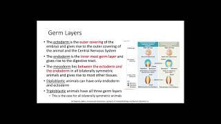 Embryonic Development and Germ Layers [upl. by Aneehsal]