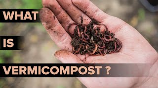 What is Vermicomposting  Methods of Vermicomposting  Environmental Science  Letstute [upl. by Airres]