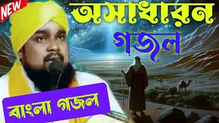 অসাধারণ গজল  জীবনী বক্তা মাওঃ আনিসুল হক মোজাদ্দেদী  Maulana Anisul hok  wwz [upl. by Tengler]