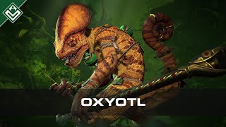 Oxyotl  Warhammer Fantasy [upl. by Notsew]