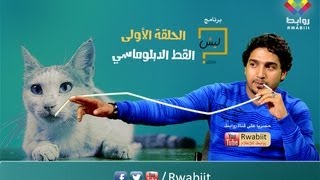 ليش؟ القط الدبلوماسي LEESH1 [upl. by Nalloh]