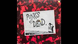 Exploited  Punks Not Dead Full Album [upl. by Adiesirb357]