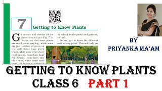 Getting to Know Plants Part 1 Class 6 Science NCERT CBSE [upl. by Yntruoc183]