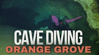 Cave Diving Orange Grove Peacock Springs State Park [upl. by Cynthla840]