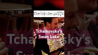 Tchaikovskys Swan Lake No 10 Scène Horn Solo [upl. by Bertrand]