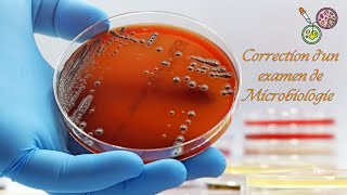 Correction dun examen de Microbiologie شرح امتحان مقياس ميكروبيولوجي بالعربية [upl. by Anade]