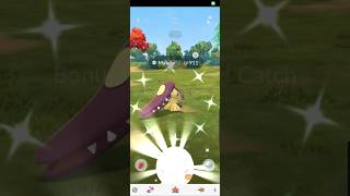 ✨️ ShinyMawile on MegaRaidDay RaidDay PokemonGo Pokémon MyPokemonGoLife mypokemongocareer [upl. by Sigismond401]