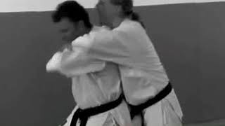 Shotokan Karate Jutsu Practical SelfDefense Techniques [upl. by Jillane]