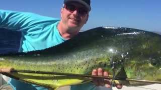 Canadian Steelhead Guides Flyfish for Marlin and Dorado in Mexico [upl. by Atinuj]