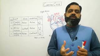 Cardiac cycle UrduHindi medium  Prof Masood fuzail  How Lubb Dubb sound is produced  Pulse [upl. by Murdock]