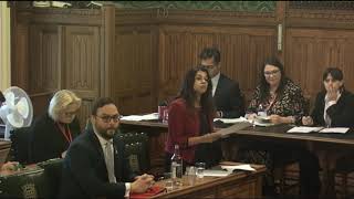 HoC  Legislation Committee  Collective Investment Schemes Insurance Distribution  19112024 [upl. by Atinuaj]