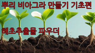 농작물 생산성 폭발 뿌리 비아그라 만들기 기초편  해초추출물 파우더 작물 뿌리를 건강하게 만드는 액비의 원재료 해조추출물 시베이지의 힘 [upl. by Bashuk985]