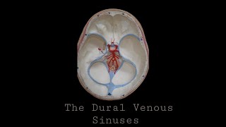 Dural Venous Sinuses [upl. by Namreg]