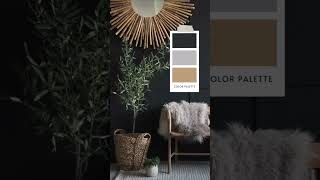 😍 TOP 5 Colores para LA SALA Tu favorito [upl. by Anoval]