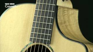 Breedlove Guitars Voice Concert [upl. by Vitoria]