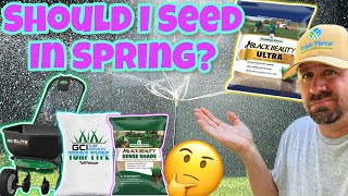 Should I Overseed My Fescue In Spring [upl. by Tierza942]