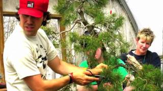 Marco Invernizzi Bonsai Master [upl. by Yentruocal]