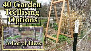 40 Garden Trellising Examples for Growing Vegetables Vertically All DIY Budget Friendly Options [upl. by Vogeley]