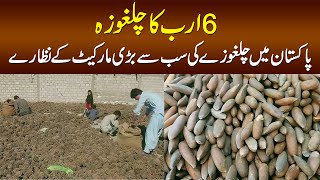 6 Arab Ka Chilgoza  Pakistan Mein Chilgoza Ki Sab Se Bari Market Dekhiye [upl. by Idnic]