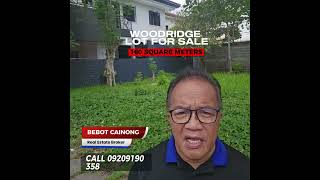 For Sale Residential Lot 160 SQM in Woodridge Park Subdivision Maa Davao City [upl. by Pathe]