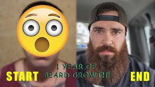 1 YEAR BEARD GROWTH TIMELAPSE [upl. by Neetsyrk]