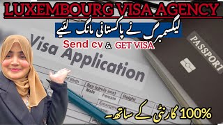 Luxembourg 🇱🇺work visa how to apply online 2024 europe jobs [upl. by Llekim750]