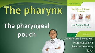 The pharynx The pharyngeal pouch online session Professor Dr Qotb [upl. by Aenet]