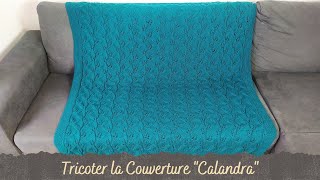 TUTO TRICOT  Tricoter la couverture quotCalandraquot [upl. by Normy]