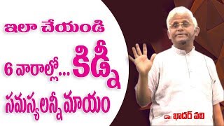 Kidney Diseases కిడ్నీ వ్యాధులకు ఖాదర్ వలీ సింపుల్ టిప్స్ Dr Khadar vaili telugu health tips [upl. by Etnauq]