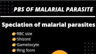 Pbs of malaria parasites speciation of malarial parasites malarial schizont Gametocyte malaria [upl. by Lemmie234]